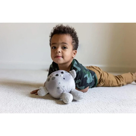 Moon Buddy Learning Science  Astronomy Space Solar System Educational Plush Toy - Picture 5 of 5